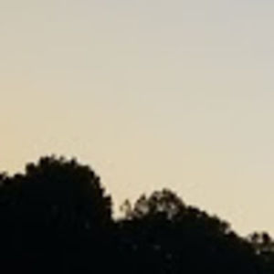 Meet your Posher, Norma